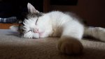 20160703_114529.jpg