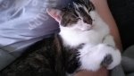 20160605_193702.jpg