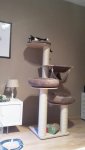 20160726_055351.jpg