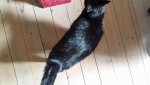 20160726_140702.jpg
