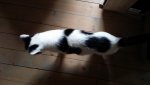 20160726_140723.jpg
