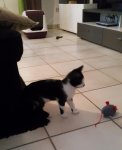 20160812_191944.jpg