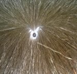 WP_20160903_004.jpg