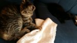 IMG-20160809-WA0022.jpg