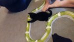 IMG-20160809-WA0023.jpg