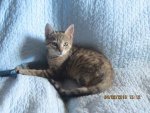 FB_IMG_1472996763243.jpg