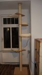 DSCN6677.JPG DSCN6677.JPG