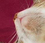 20161016_140616.jpg 20161016_140616.jpg
