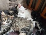 IMG-20161018-WA0018.jpg