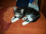 IMG-20161018-WA0007.jpg