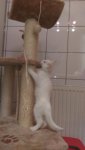 IMG-20161021-WA0010.jpg