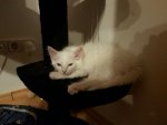 IMG-20161020-WA0006.jpg