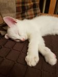 IMG-20161020-WA0007.jpg