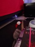 IMG_20161122_193824.jpg