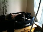 2012 Sommer Urlaub und gemischtes 279.jpg