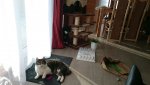 IMG-20161207-WA0022.jpg