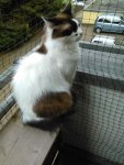 IMG_20160709_110834.jpg