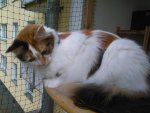 IMG_20160709_110900.jpg