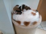 IMG_20161112_163624.jpg
