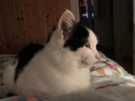 IMG_0199.jpg