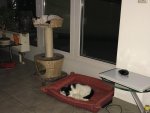 IMG_0214.jpg