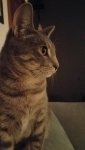 20161217_170443.jpg