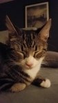 20161217_170631.jpg