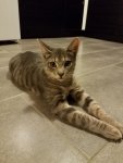 20160919_082715.jpg