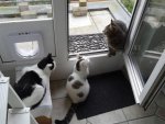 DSC03109.jpg