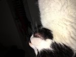 IMG_7319.jpg