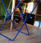 IMG_20170316_1737162.jpg
