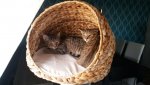 IMG-20170321-WA0003.jpg
