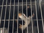 IMG-20170325-WA0000.jpg
