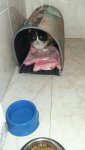 IMG-20170325-WA0002.jpg