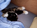 IMG_20170331_210248.jpg