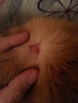 IMG-20170413-WA0000.jpg