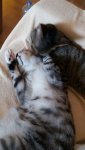 IMG-20170430-WA0041.jpg