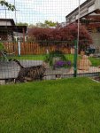 Resized_20170506_193825.jpg