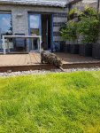 Resized_20170506_144512.jpg