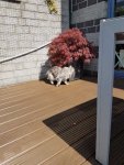 Resized_20170506_144250.jpg