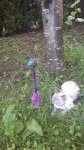 FB_IMG_1496051279693.jpg