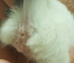 20170604_223249.jpg