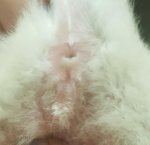 20170604_223339.jpg