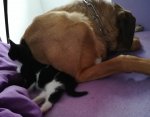 IMG_20170616_072734.jpg