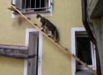 IMG_20170713_113226.jpg