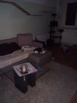 IMG_20170719_234617.jpg