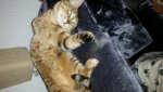20160606_230926_optimized.jpg