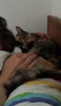 IMG-20170812-WA0003-1.jpg