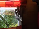 IMG_8048.jpg