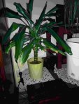 IMG_20170914_075648.jpg